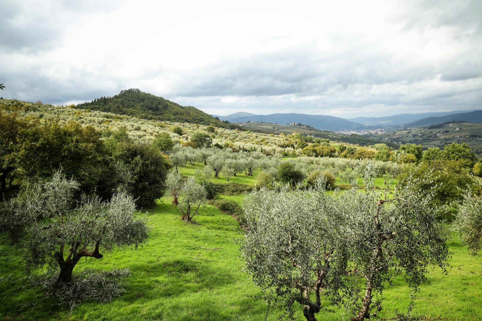 Tuscany Hills near Pelago, Tuscany